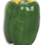 Green Pepper