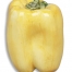 Yellow Pepper