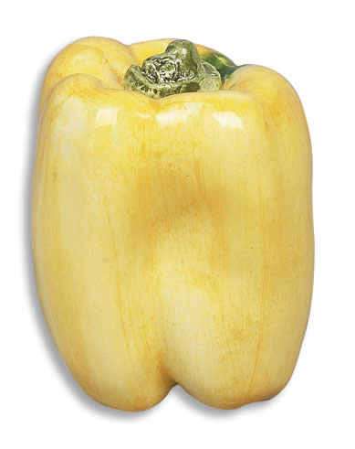 Yellow Pepper