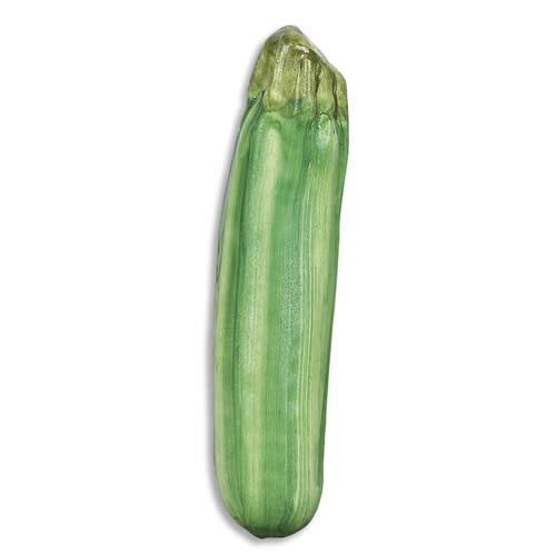 Zucchini